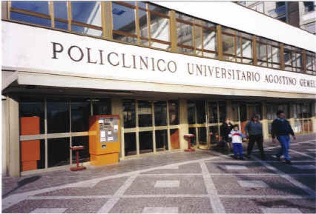 Universita Cattolica Di Sacro Cuore Roma Erasmus Charite