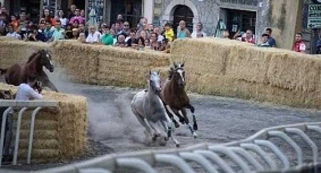 Viterbo News 24 – Conclusa la prima giornata del Palio di Ronciglione