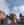 Foto notizia