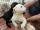 Foto notizia