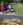 Foto notizia