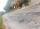 Foto notizia