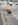 Foto notizia