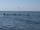 Foto notizia