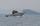 Foto notizia