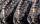Foto notizia