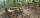 Foto notizia
