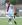 Foto notizia