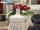 Foto notizia